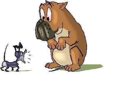 派大星娱乐爆料了吗是真的吗,派大星娱乐爆料真实性揭秘  第3张